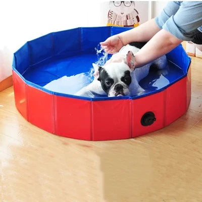 Pawfect Plunge Pool - PawsMartOnline