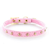 Cat Collar and Kitten Collar - PawsMartOnline Pink with Rivets / 8.5-10.5