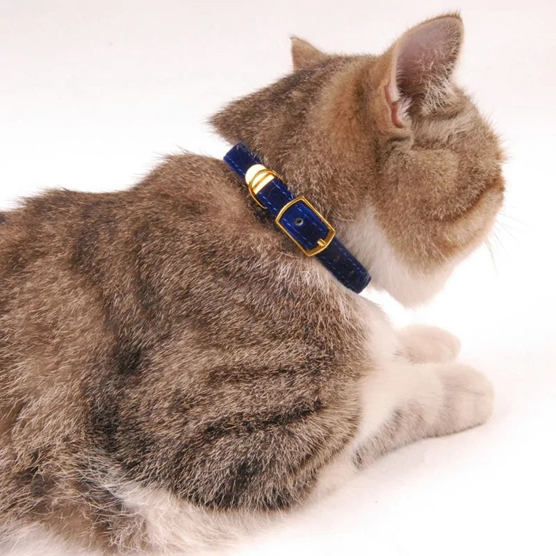 Cat Collar and Kitten Collar - PawsMartOnline