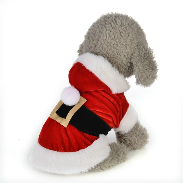 Dog Christmas Costume with Santa Design