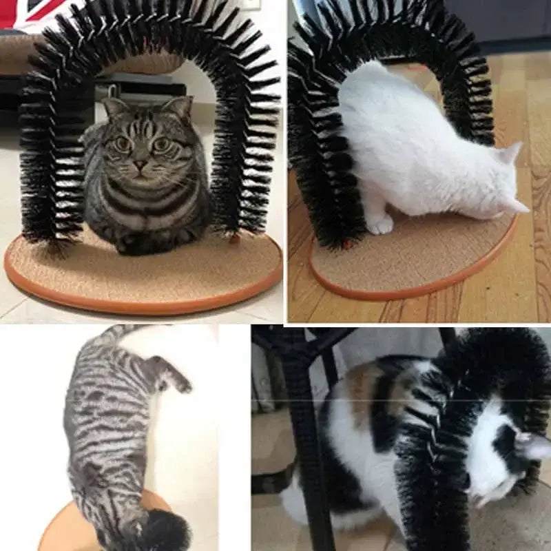 Cat Toy Arch – Self-Grooming & Scratching Fun for Your Feline - PawsMartOnline