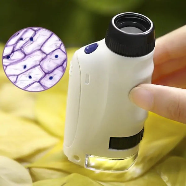 Handheld Microscope – 1000x, Portable, Camera, Free Shipping