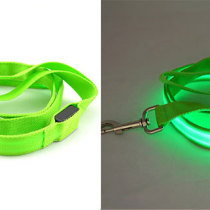 Green-LightPaws Leash