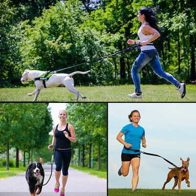 Hands Free Dog Leash - PawsMartOnline