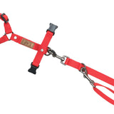 Lof Folding Leash: Adjustable and Durable for Your Dog - PawsMartOnline Pets