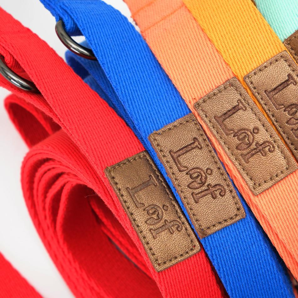 Lof Folding Leash: Adjustable and Durable for Your Dog - PawsMartOnline Pets