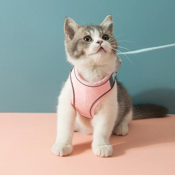 Cat Harness & Leash Set – Soft, Adjustable, and Reflective - PawsMartOnline