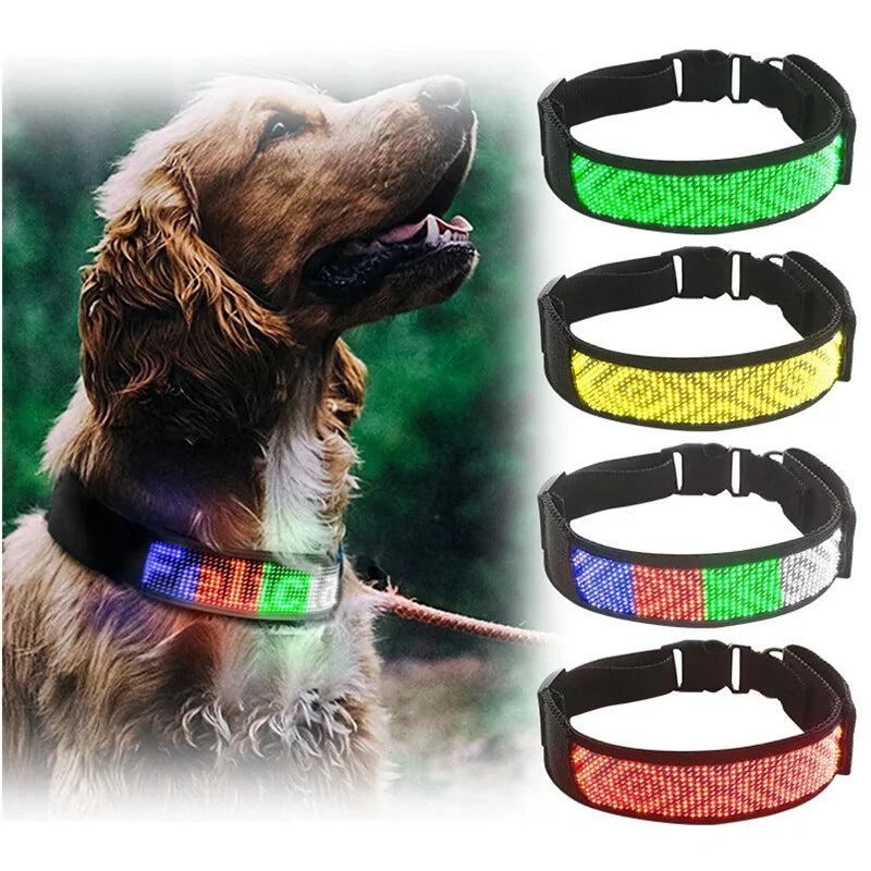 Bluetooth LED Light-Up Dog Collar with GPS & Customizable Display - PawsMartOnline