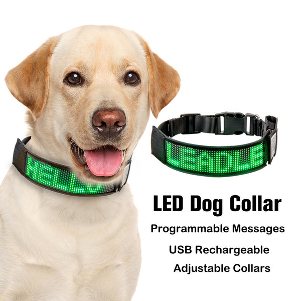 Bluetooth LED Light-Up Dog Collar with GPS & Customizable Display - PawsMartOnline