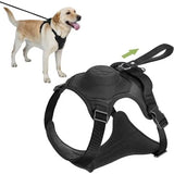 Black- Dog Harness and Leash - Comfortable and Secure Walking