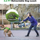 Dog Harness and Leash - Comfortable and Secure Walking info