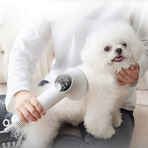 Smart Pet Hair Dryer - Quiet & Efficient with Adjustable Heat - PawsMartOnline