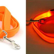 Orange-LightPaws Leash