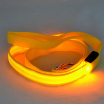 Orange-LightPaws Leash