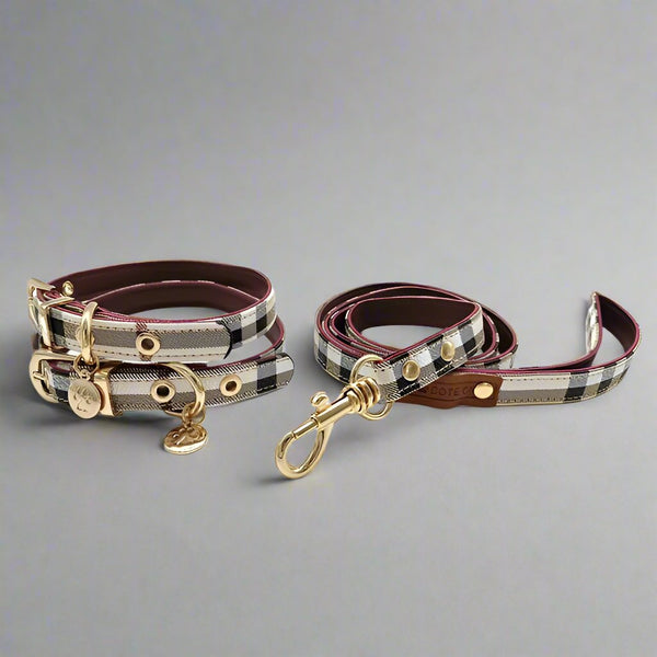 Elegant Leather Dog Collar and Leash Set- Durable & Adjustable - PawsMartOnline As Shown / Large- 12-17"