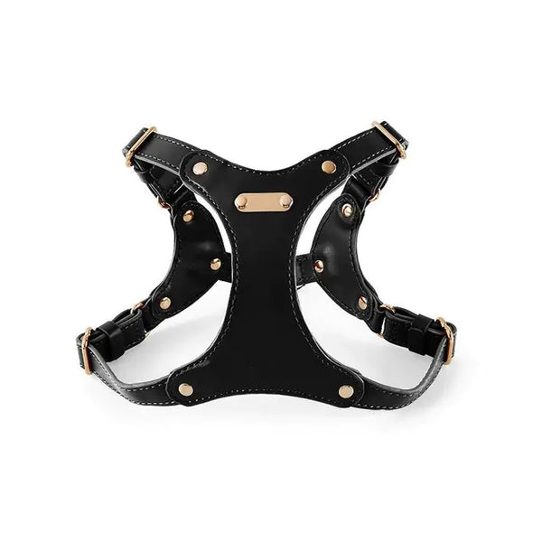 Leather Dog Harness with Custom Engraving