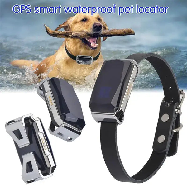 GPS Dog Collar - Waterproof Pet Tracker with Health Monitoring - PawsMartOnline