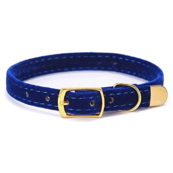 Cat Collar and Kitten Collar - PawsMartOnline Blue / 8.5-10.5"