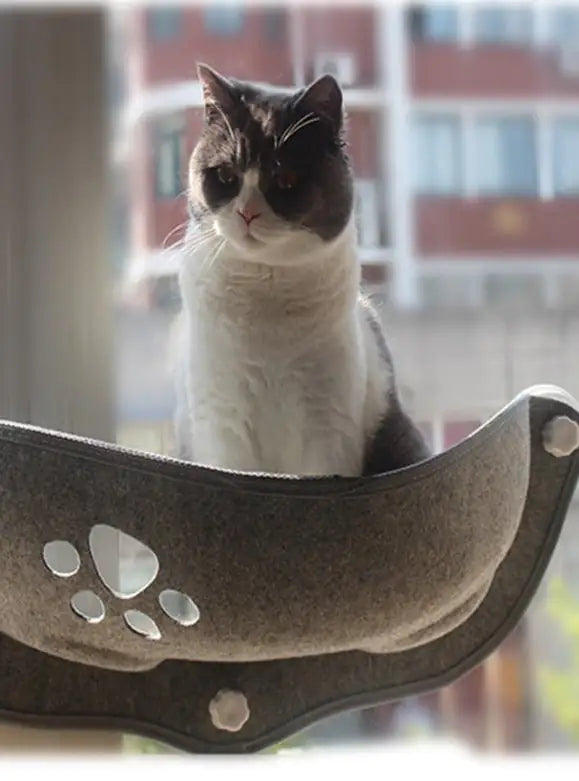 Cat Hammock - PawsMartOnline