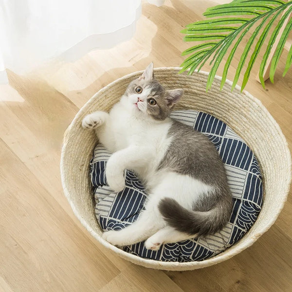 Cat Basket Bed – Eco-Friendly, Durable, and Cozy for Cats Year-Round - PawsMartOnline