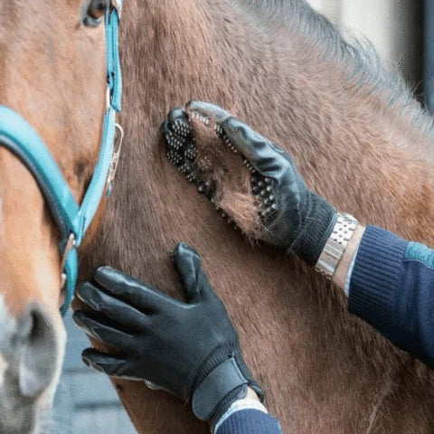 Gentle Dog and Cat Grooming Gloves