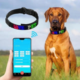 Bluetooth LED Light-Up Dog Collar with GPS & Customizable Display - PawsMartOnline