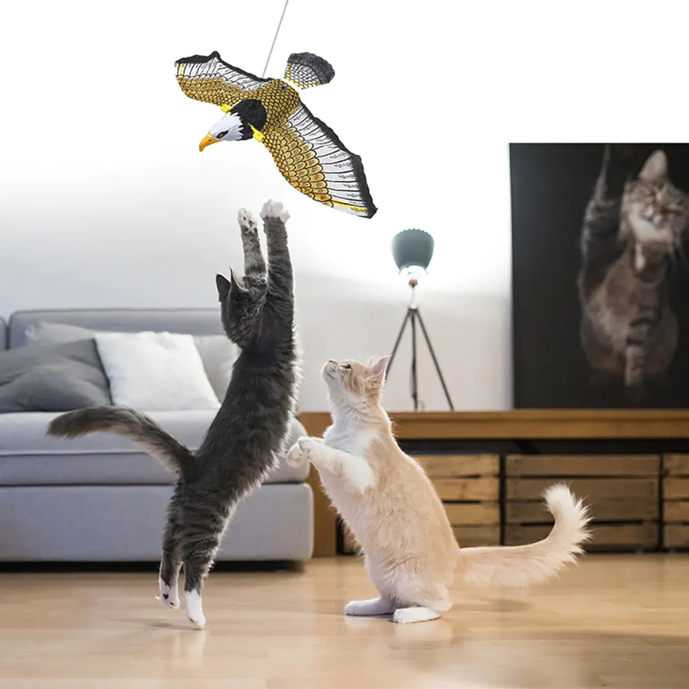 Interactive Bird For Cats - PawsMartOnline