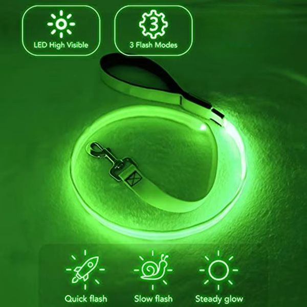 LED Dog Leash - Stay Safe and Visible, Day or Night - PawsMartOnline