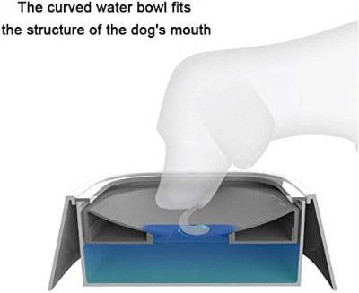 Anti-Splash Water Bowl - PawsMartOnline