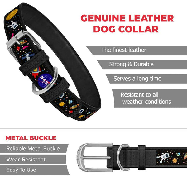 Classic Leather Puppy Collar with Durable Hardware - PawsMartOnline Leashes, Collars & Petwear