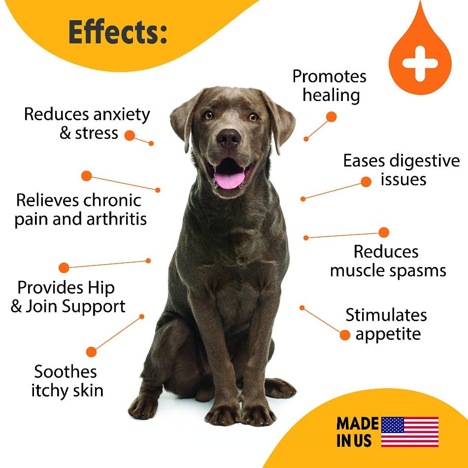 Pawious Hemp Oil: Natural Pain Relief and Calming Aid for Pets - PawsMartOnline Petcare