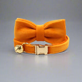 Kitten Bow Tie Collar - Soft Velvet Elegance for Your Feline Friend - PawsMartOnline Orange / Large