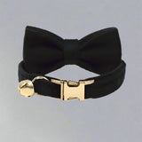 Kitten Bow Tie Collar - Soft Velvet Elegance for Your Feline Friend - PawsMartOnline Black / Large