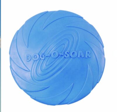 Blue- Soft Rubber Frisbee