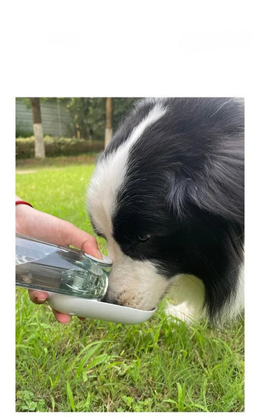 The Pawfect Companion: 2-in-1 Water and Food Bottle - PawsMartOnline