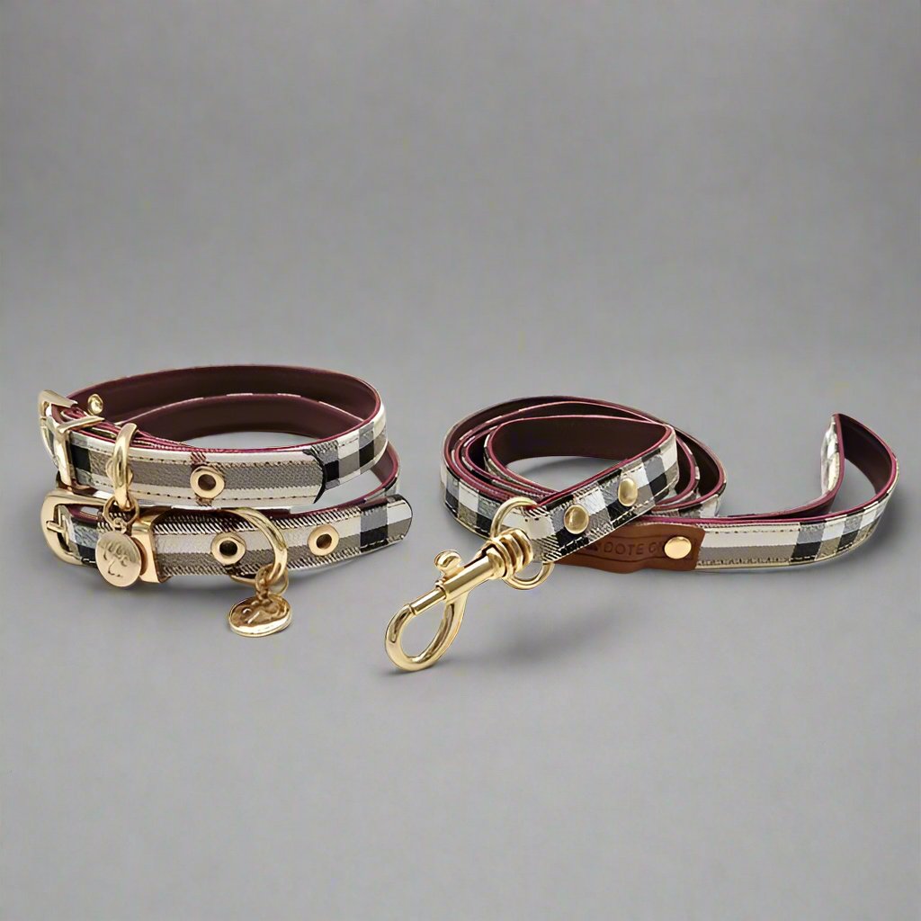 Elegant Leather Dog Collar and Leash Set- Durable & Adjustable - PawsMartOnline As Shown / Medium- 10-15"