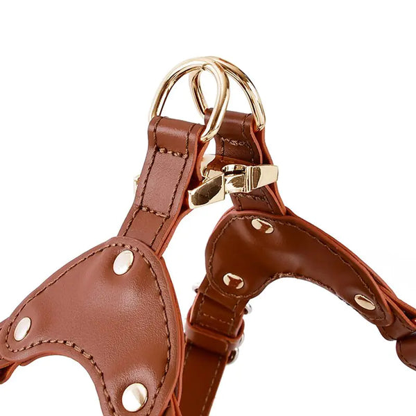 Leather Dog Harness with Custom Engraving