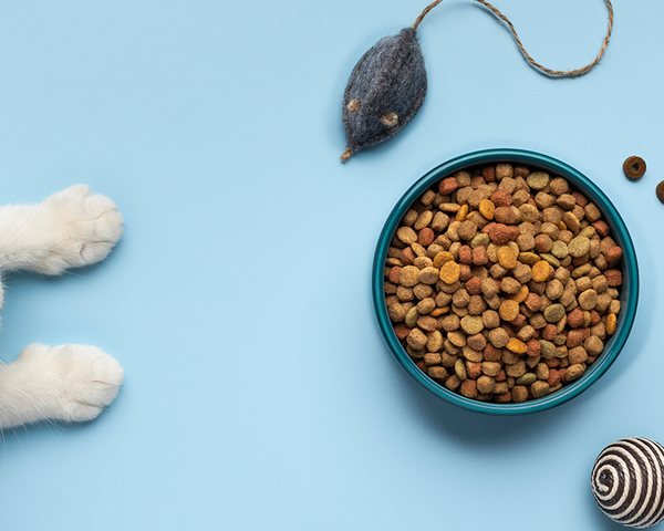 white cat playing a toy mouse next to a food bowl