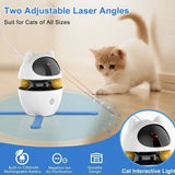 3-in-1 Rechargeable Cat Toy - PawsMartOnline