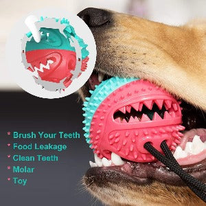 info about ChewGuard Pro Dental Suction Dog Toy
