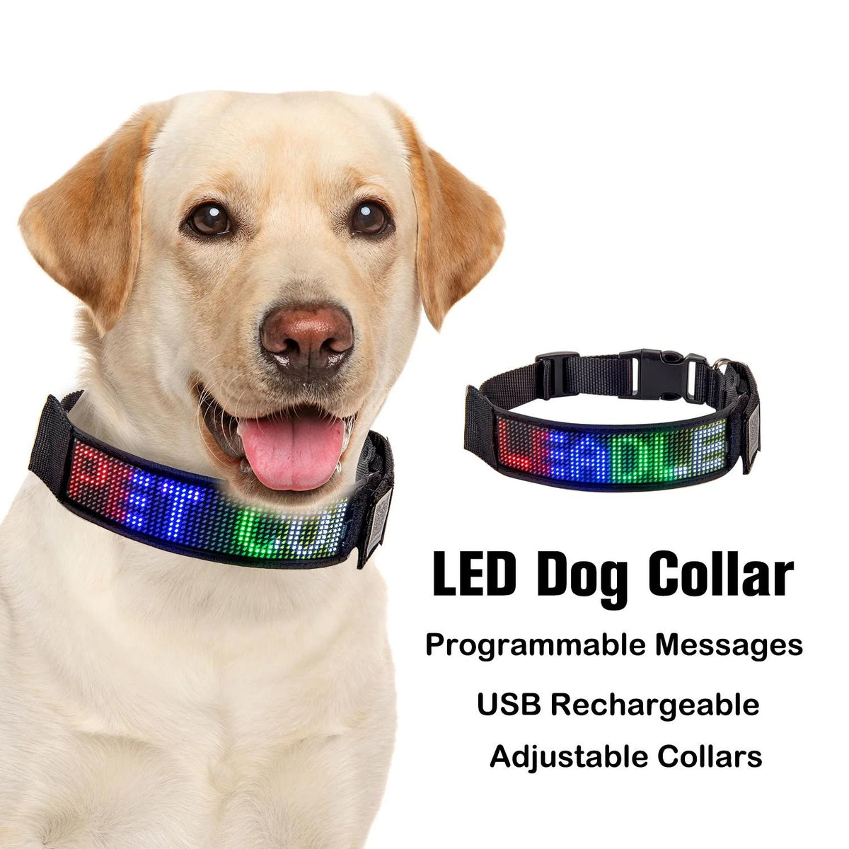 Bluetooth LED Light-Up Dog Collar with GPS & Customizable Display - PawsMartOnline