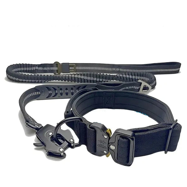 Adjustable Nylon Collar and Leash Set – Durable and Versatile - PawsMartOnline Collar Leash Set / Medium