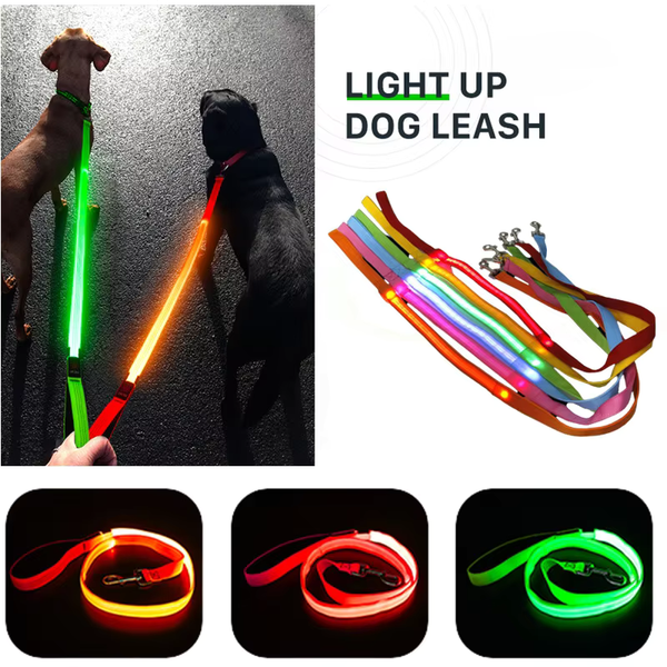 LED Dog Leash - Stay Safe and Visible, Day or Night - PawsMartOnline