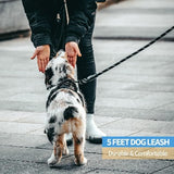 NightSafe Reflective Dog Leash - PawsMartOnline