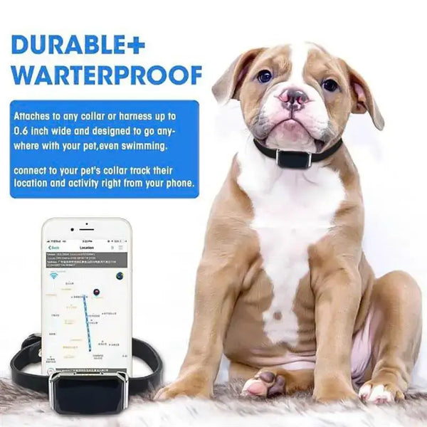 GPS Dog Collar - Waterproof Pet Tracker with Health Monitoring - PawsMartOnline