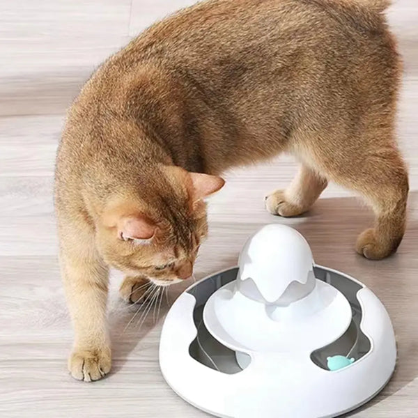 Yammy Buggy Interactive Cat Treat Toy - PawsMartOnline