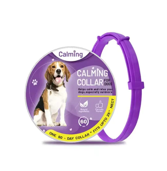 Calming Collar for Cats & Dogs - PawsMartOnline Purple / Dog