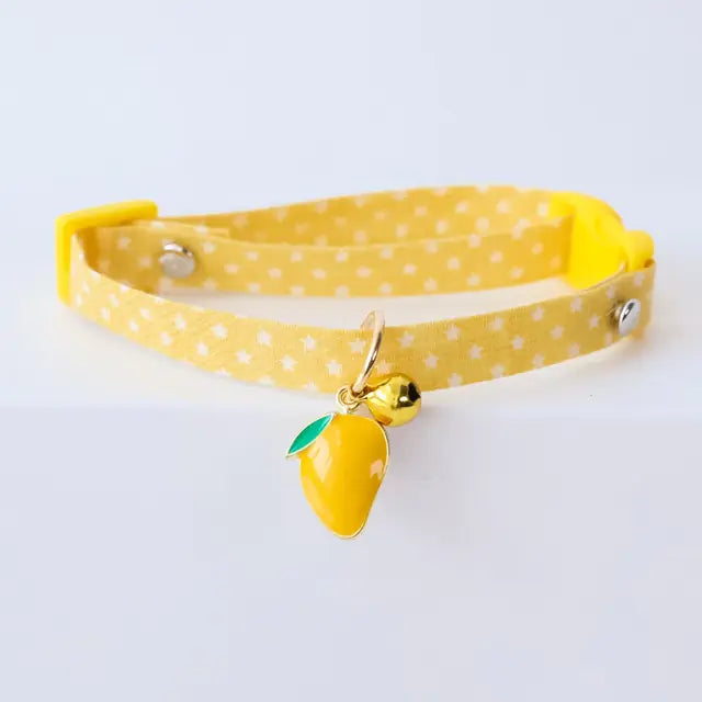 Cat and Small Dog collar - PawsMartOnline Mango / Small 7-12"