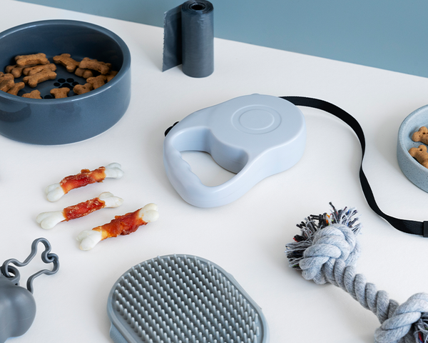 a blue dog bowl, some dog treats and a blue dog grooming brush