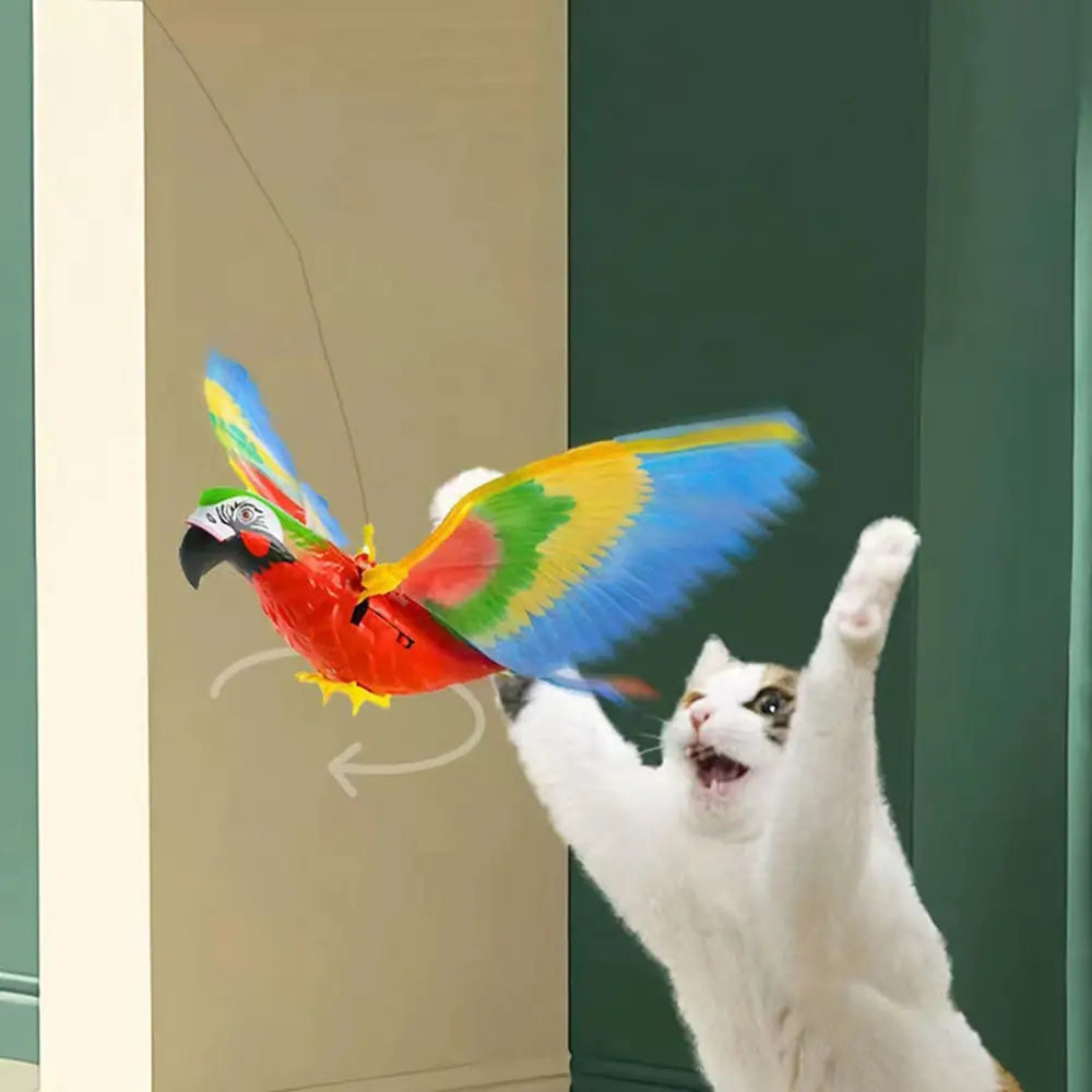 Interactive Bird For Cats - PawsMartOnline